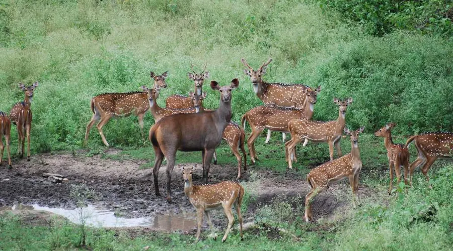 Indravati National Park